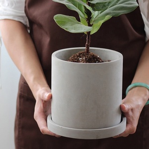 Piantatrice a cilindro tondo <span class=keywords><strong>in</strong></span> <span class=keywords><strong>cemento</strong></span> semplice personalizzata con vassoio per piante da giardino Decorative per interni ed esterni - Product Image 4