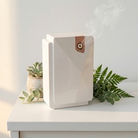 Diffuseur d'arômes USB et à piles 100 ml, diffuseur d'huiles essentielles de table, fixation murale, purificateur d'air domestique
