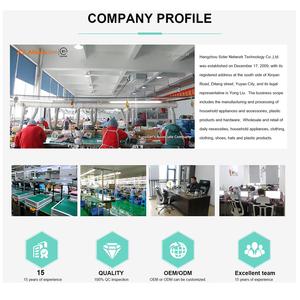 Soler Thiết Kế Mới Bàn Ủi Hơi Nước Cho Giặt Ủi Dual-Sử Dụng Mini Máy Ủi Bàn Ủi Hơi Nước Nhỏ Di Động Cầm Tay Sắt - Product Image 5