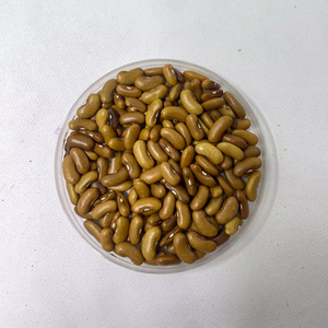 Botani Yasa : Graines de haricots verts à rendement élevé, fournisseur de graines de haricots doux et tendres - Product Image 1