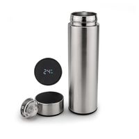 Frasco de vidrio Digital inteligente de 500ml, Infusor de té, termo aislado al vacío, viaje con pantalla de temperatura Led de acero inoxidable