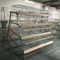 Système de cages pour poulets de type batterie à haute efficacité pour une production d'œufs optimisée
