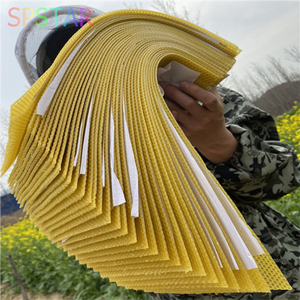 Bán Chạy nhất sản phẩm nuôi ong: tổ ong, phấn hoa ong, nền tảng sáp Hội Đồng Quản Trị - Product Image 6