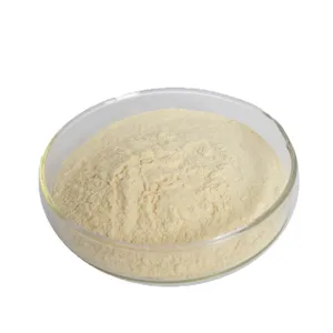 Suplemento nutricional 100% puro Panax pseudoginseng extracto notoginseng triterpenos 15% 80% tabletas en polvo píldoras