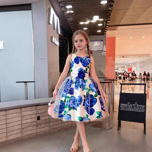 Robe sans manches à imprimé floral pour filles, style princesse plissé avec nœud, pour les spectacles et le quotidien K9 - Product Image 3