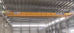 Grue à double poutre de 10 tonnes pour la manutention de matériaux industriels, le levage en entrepôt et les opérations en usine - Product Image 3