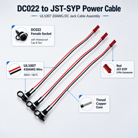 Câble d'alimentation OEM personnalisé DC022 avec capuchon anti-poussière vers JST SYP 2,5 mm pas de 2 broches pour alimentation de trottinette électrique et vélo