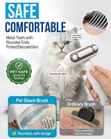 Brosse de toilettage 2-en-1 anti-statique pliable en acier inoxydable pour chats et chiens, avec fonction de pulvérisation pour l'élimination des poils sous-panneaux