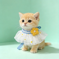 Bavoir en dentelle pour animaux de compagnie avec nœud, Bandana de luxe pour chien et chat, Accessoires de cou pour animaux de compagnie pour séances photo, Vente en gros