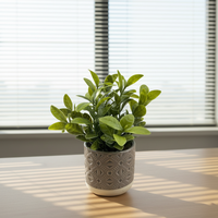 Succulentes artificielles en PE, durables, écologiques, recyclables, haute simulation, vertes toute l'année, décoration de luxe pour la maison