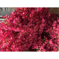Pabrik Langsung Menyediakan Harga Bagus Bunga Bougainvillea Sutra Buatan Tangan Bernuansa Lembut Romantis untuk Dekorasi Buket Pengantin