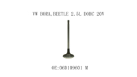 06D109601 M 079109601B Prix de gros pour VW BORA,BEETLE 2.5L DOHC 20V Fabricant de soupapes de moteur Soupapes d'admission et d'échappement
