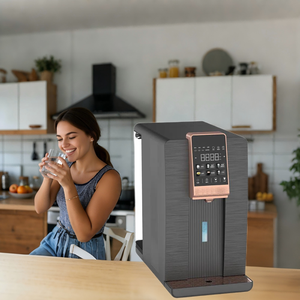 Mini Système de Filtration d'Eau par Osmose Inverse Électrique Composite avec UV, <span class=keywords><strong>Pompe</strong></span> à Eau Potable pour la Maison, Contrôle par Application, pour Maison et Hôtel - Product Image 4