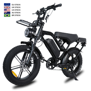 Bicicleta eléctrica de dos plazas ANGLE G20 con neumáticos gruesos de 20 pulgadas, 48V 15Ah, 250W 1000W, todoterreno, disponible en la UE y EE. UU. - Product Image 1