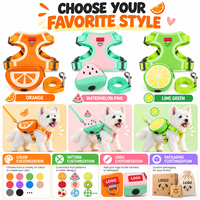 Harnais et laisse pour chien à imprimé fruits mignons, ensemble gilet respirant en maille douce à enfiler, fabricant OEM sur mesure