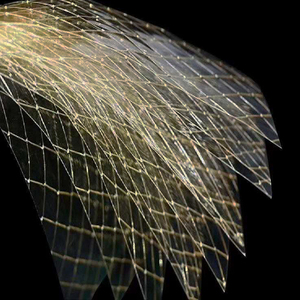 Feuilles <span class=keywords><strong>de</strong></span> Gélatine Bovine Hyfine 100-260 Bloom, Additifs Alimentaires, Stabilisateurs, Épaississants, Qualité <span class=keywords><strong>Alimentaire</strong></span>, Inodore, Durée <span class=keywords><strong>de</strong></span> Conservation 3 Ans - Product Image 5