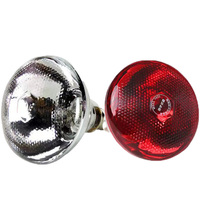 Nouvelle lampe chauffante infrarouge rouge Be-You pour volailles, équipement professionnel pour animaux