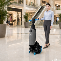 Nettoyeur de sol sans fil 430 mm, balayeuse-sécheuse, batterie 36 V, réservoirs d'eau de 4 L et 6,5 L pour hôtels, restaurants et commerces
