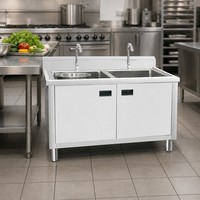Évier de cuisine Factory 201 à cuve profonde, grande capacité, structure robuste, en acier inoxydable, avec revêtement auto-nettoyant anti-corrosion