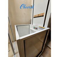 Mini elevador interior/exterior para personas discapacitadas Plataforma vertical de acero Mesa elevadora para sillas de ruedas para Villas pequeñas y uso doméstico