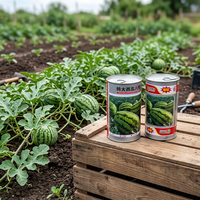 Boîte de conserve vide pour l'emballage de thé et de graines de légumes SZSYTN-300 Marque SZSangye Origine Guangdong Utilisation agricole