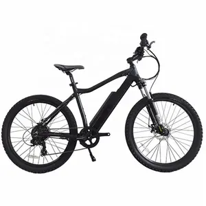 Kualitas Tinggi Pasar India Ebike 250W 500W 1000W Sepeda Gunung Mtb Listrik