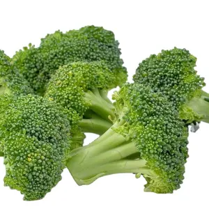 Iqf Vegetable Fresh Vegetables Supply New Harvest BRC Certified IQF Frozen Broccoli