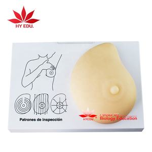 Simulator Pemeriksaan Payudara Model Lanjutan Model Anatomi Payudara - Product Image 4