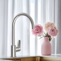 Robinet de cuisine en acier inoxydable, finition brossée, robinet d'évier de cuisine, mélangeur d'eau chaude et froide, robinets de mélange d'évier