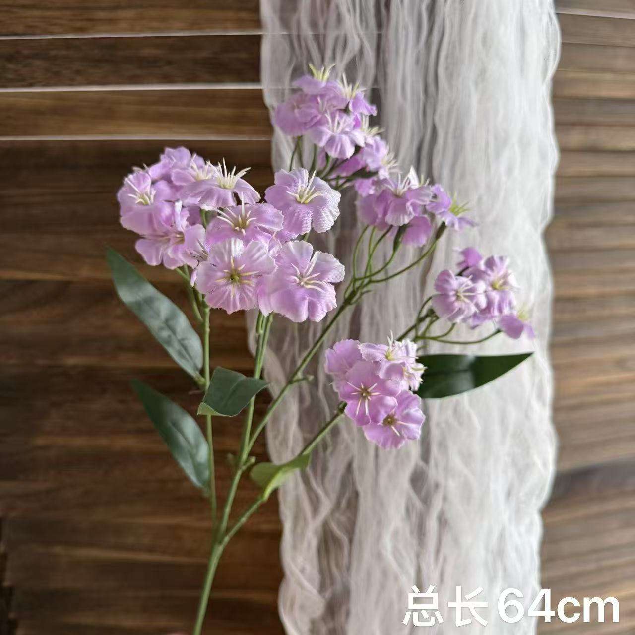 ผักบุ้งสีม่วง