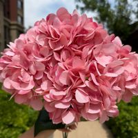 Bouquet de fleurs artificielles en soie, grandes hortensias blancs à 5 têtes, style français, pour mariage et décoration intérieure