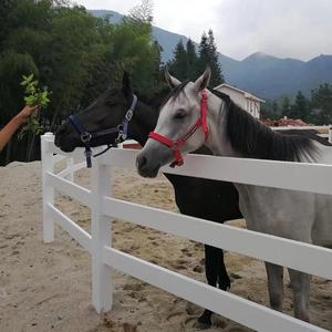 <span class=keywords><strong>Panneaux</strong></span> de clôture élégants en vinyle PVC blanc pour chevaux, vente en gros - Product Image 3