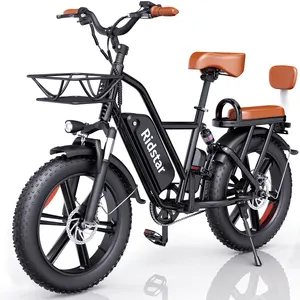 Causal Riding 7 Speed 500W Ebike Aluminum Allow Rear Child Carrier Bicycle 48V 15Ah Removable Battery Family Electric Bike