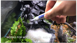 Colle instantanée transparente à séchage rapide WBG pour aquascaping, plantes, coraux, mousse, aquarium, non toxique, sûre - Product Image 3