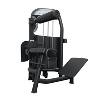 Nouveauté WNQ Appareil d'extension des jambes Équipement de musculation commercial F1-5008 Unisexe pour l'entraînement des muscles profonds du dos