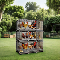 Système de Conception de Poulaillers pour l'Élevage de Volailles, Cage à Poules Pondeuses, Cage pour Poussins, Meilleur Prix, Fabrication Chinoise