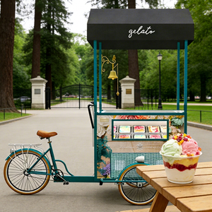 Carrito Móvil de Helados para Venta Ambulante con Congelador y Exhibidor de Paletas, Carro Comercial de Gelato de Fibra de Vidrio para la Venta - Product Image 1