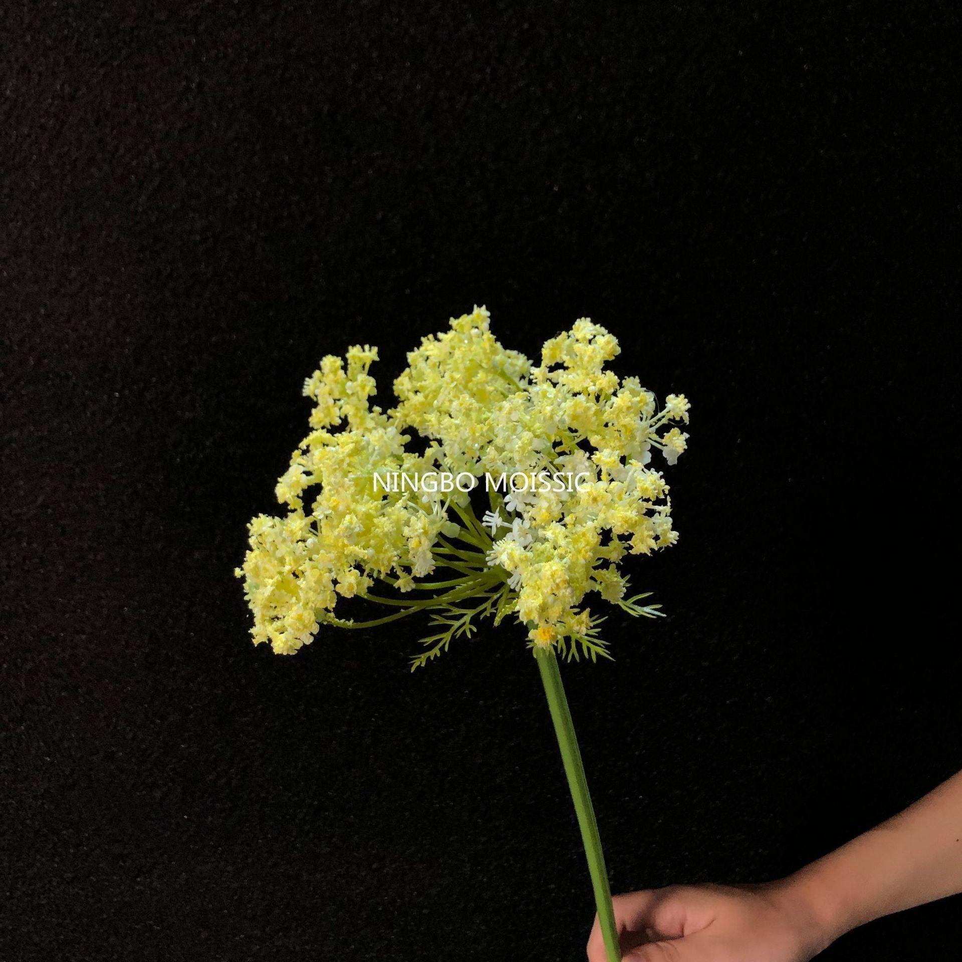 สีเหลือง