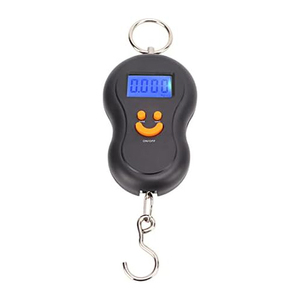 Báscula de Equipaje Inthetrend Esencial de Acero Inoxidable para Viajes y Uso Doméstico, Capacidad de 50 kg, Báscula Digital Portátil con Gancho, Funciona con Batería - Product Image 1