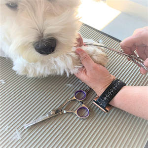 Ensemble de ciseaux professionnels pour toilettage des animaux de compagnie, 7 pièces, en acier inoxydable, outils de coupe de poils pour chiens avec peigne pour chiens Teddy - Product Image 3