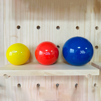 Mini Balón Medicinal con Peso para Entrenamiento de Core, Yoga y Ejercicio, Balón de Tonificación Suave con Peso