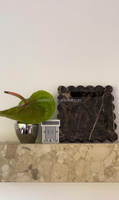 Étagère murale flottante en marbre Ceppo Romano Kunis Breccia beige pour la décoration intérieure du salon, personnalisée par SH STONE