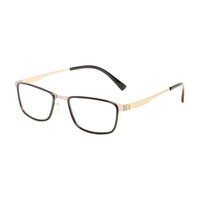 Montura Óptica Metálica Cuadrada de Estilo Retro, Diseño de Doble Viga, Unisex, para Todas las Formas de Rostro, Personalizable, Venta al Por Mayor