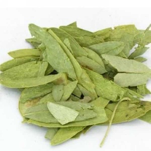 Suplemento Herbal, Cápsulas de Senna Naturales, Cápsulas de Senna Orgánicas para Apoyar la Salud Digestiva - Product Image 2