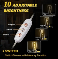 Panneau ouvert LED coloré personnalisé Neon Light Flex Signage IP65 Acrylique Caractère lumineux pour l'extérieur