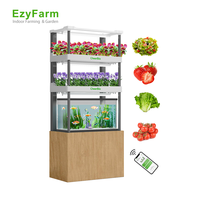 Kit de agricultura hidropónica de interior familiar para una vida saludable