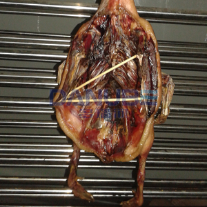 Advanced Meat Drying Room Dried Duck Drying Oven Room Chicken Dehydrator Equipment Fish Meat <b>Dehumidifier</b> Processing Room - Product Image 3