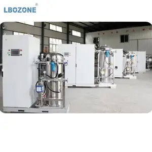 10 Kg/H grande para tratamiento de agua potable generador de ozono multifunción