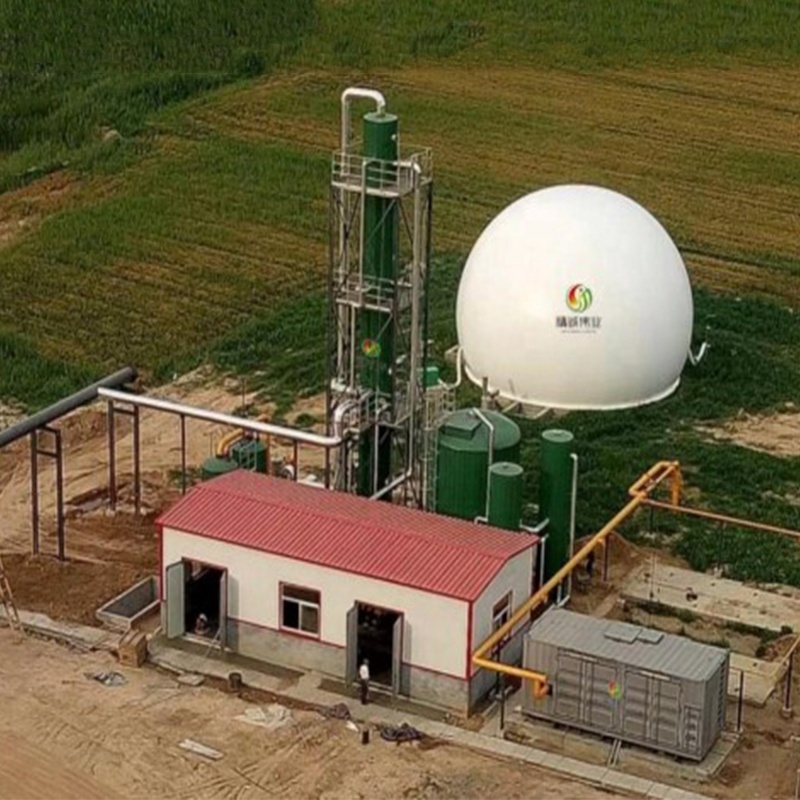 Biogas Decarbonization Plant Purifier Equipment