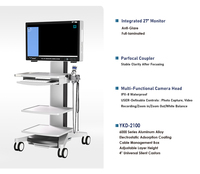 Caméra endoscopique portable électrique 27 pouces FHD en métal et plastique, système d'endoscopie médicale avec caméra tout-en-un et source de lumière froide LED